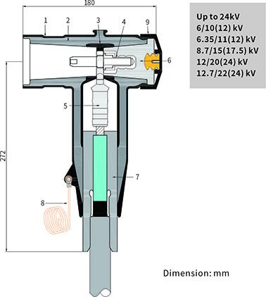 WEB 24  400.jpg